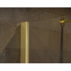 Walk-in sprchový kout ECO-N GOLD