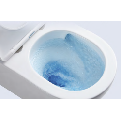 WC ROBUSTO RIMLESS kombi